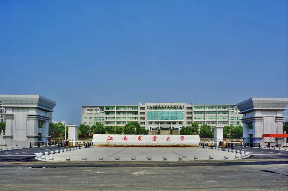 89fbd31c-e329-454b-a7f2-144845da933b.jpg 1718273752237.jpg